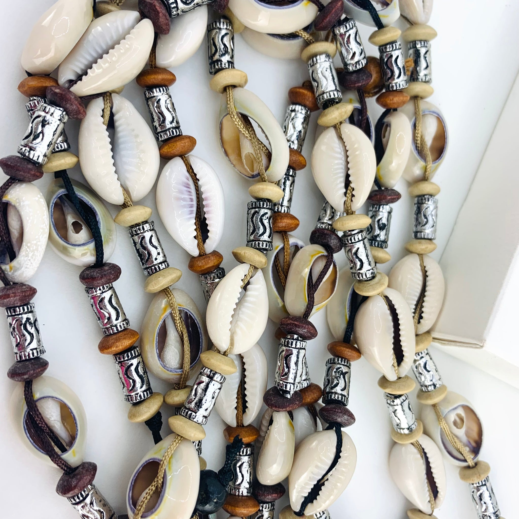 Cowrie Shell